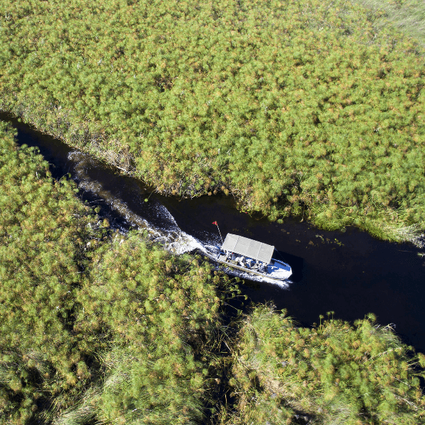 Okavango Delta