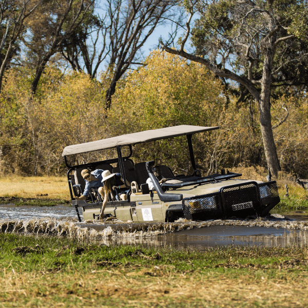Okavango Delta
