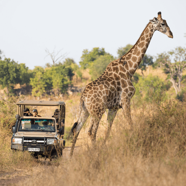 Chobe National Park