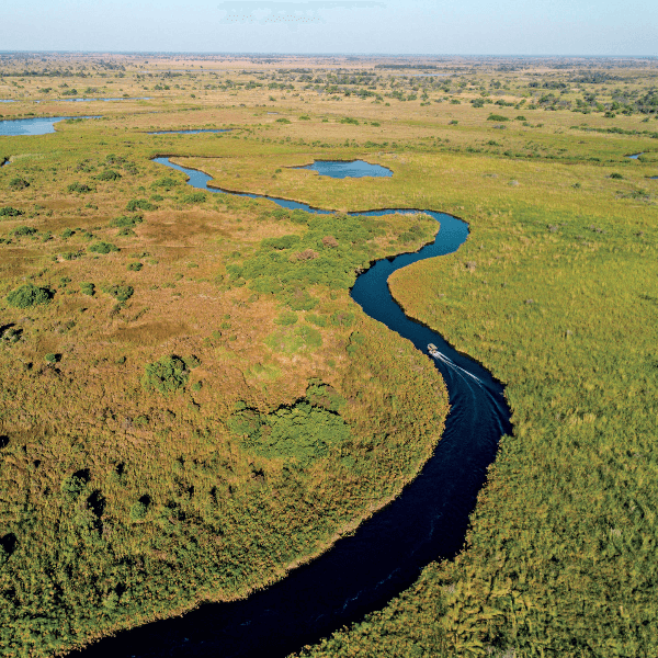 Moremi