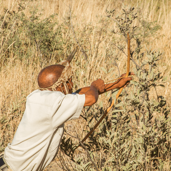 Central Kalahari