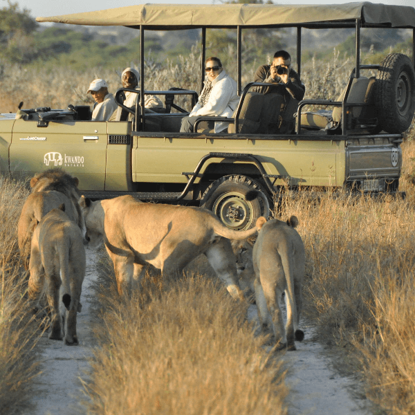 Central Kalahari