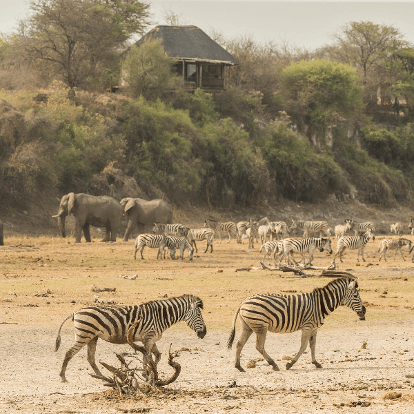 Makgadikgadi Leroo