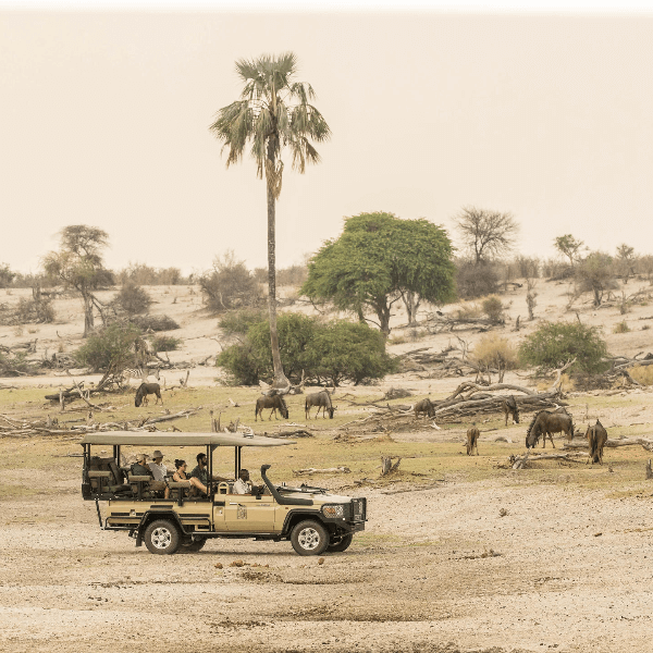 Makgadikgadi Leroo