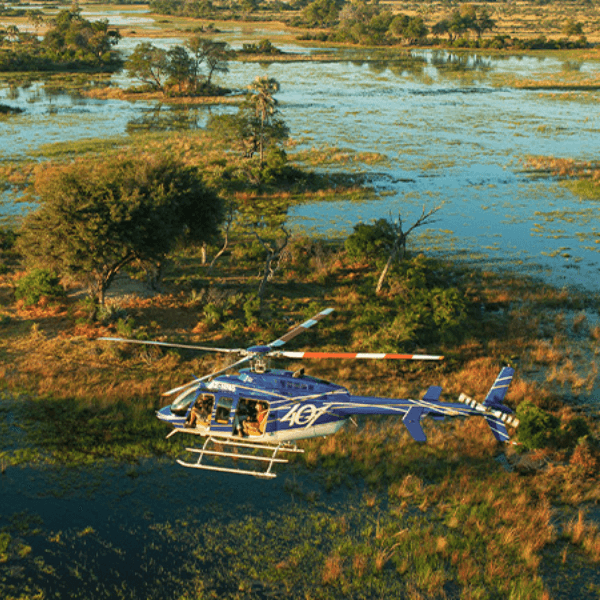 Maun