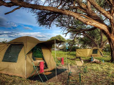 Camping in a tent in the safari