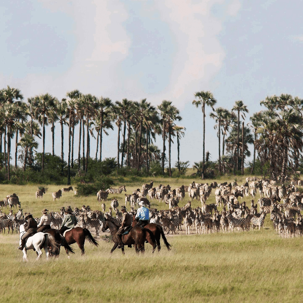 Camp Kalahari Makgadikgadi