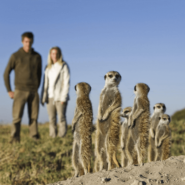 Jacks Camp Botswana