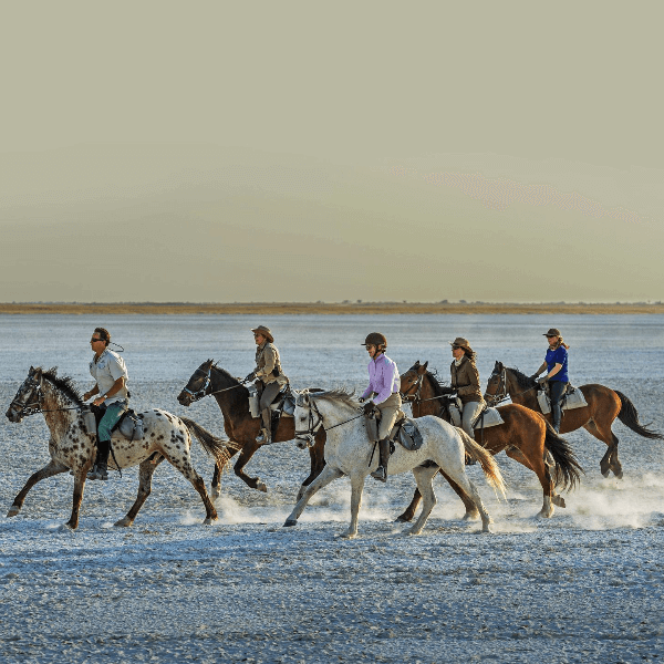 Jacks Camp Botswana