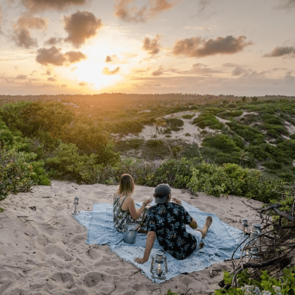 Sava Dunes Tofu