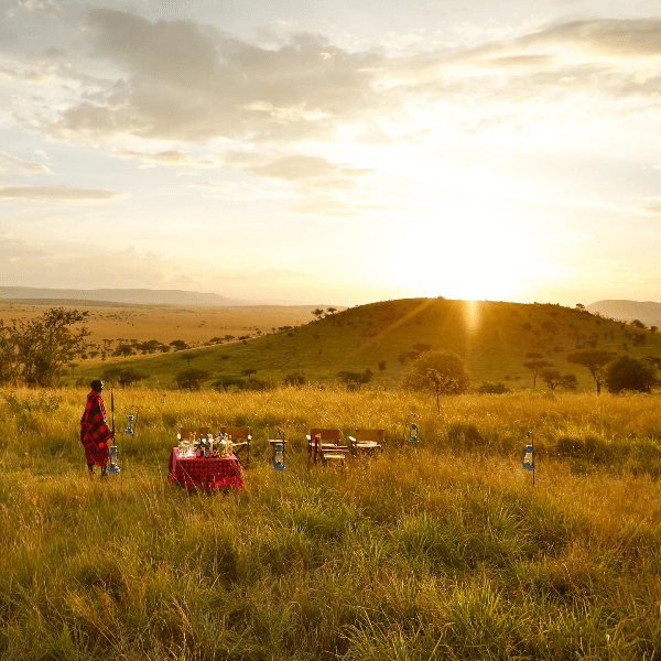 Serengeti Lemala