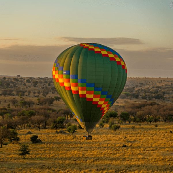 Serengeti Lemala