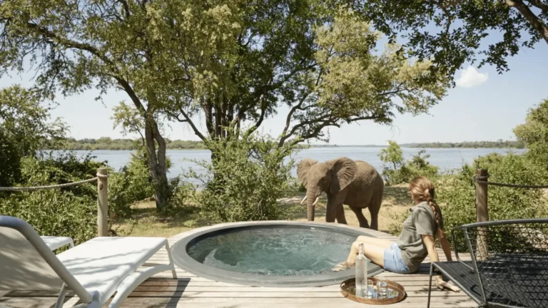 Botswana Safari