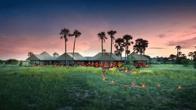 Botswana Safari