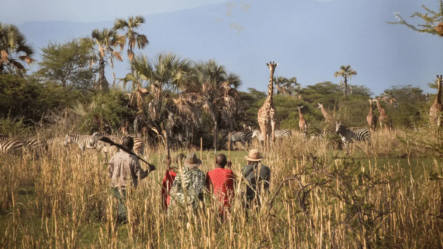 Nomad Ruaha