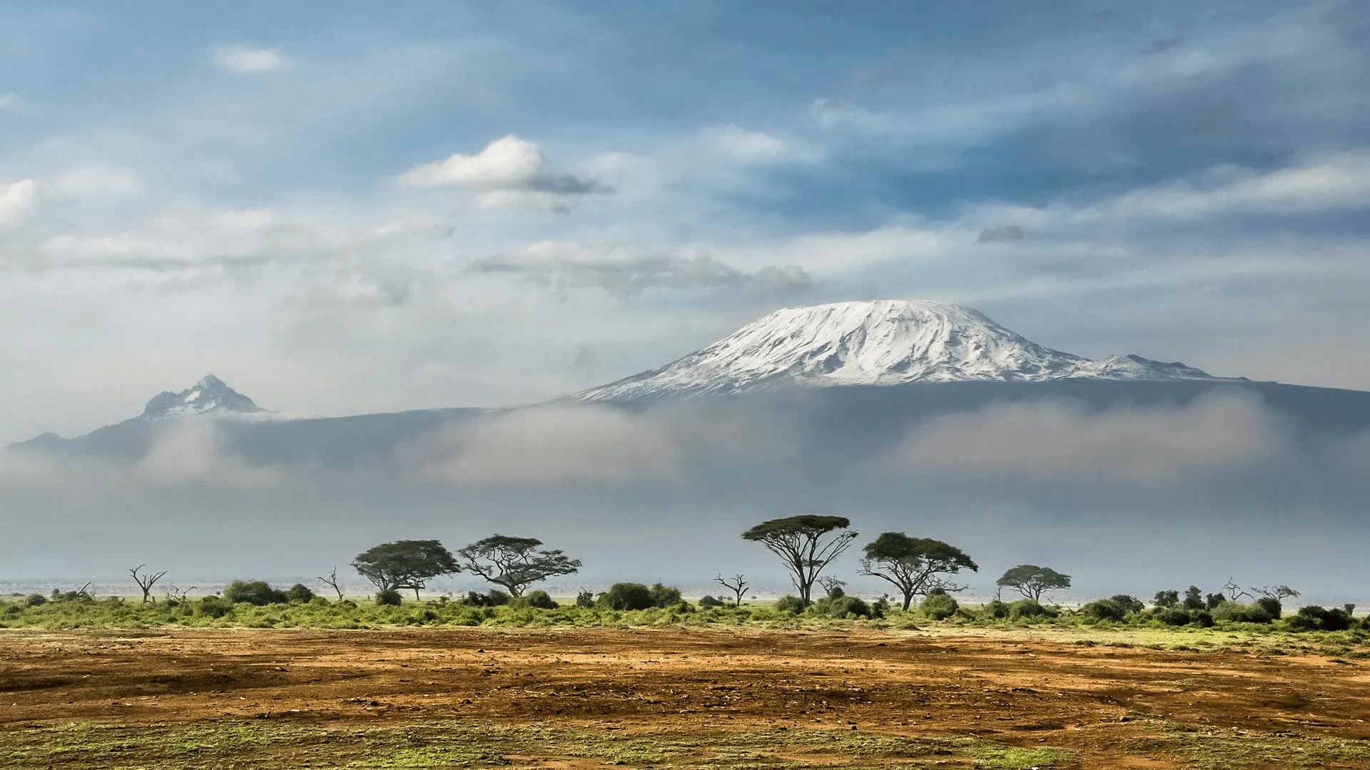 Kilimanjaro