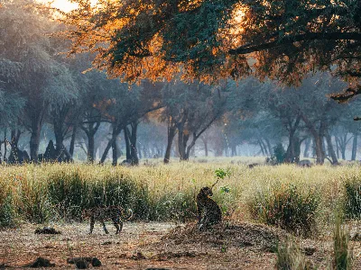 Anabezi Lower Zambezi