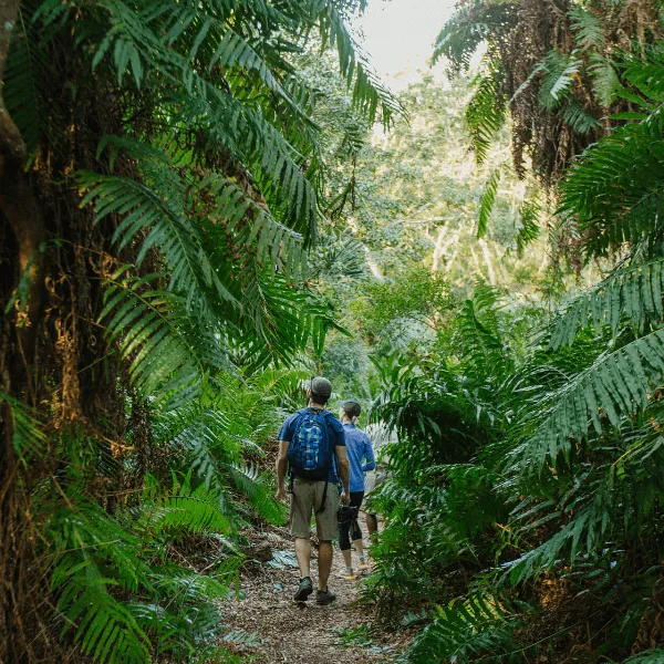 iSimangaliso