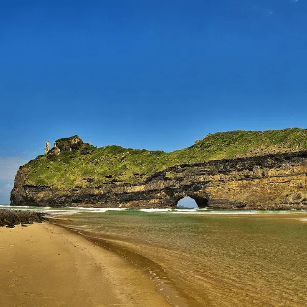 Wild Coast