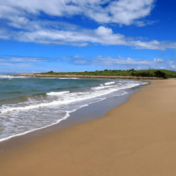 Wild Coast