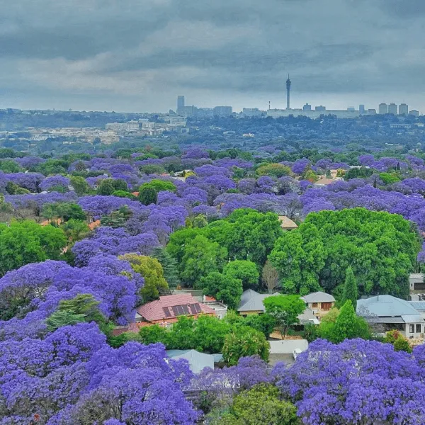 Johannesburg