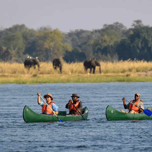 Mana Pools Wilderness
