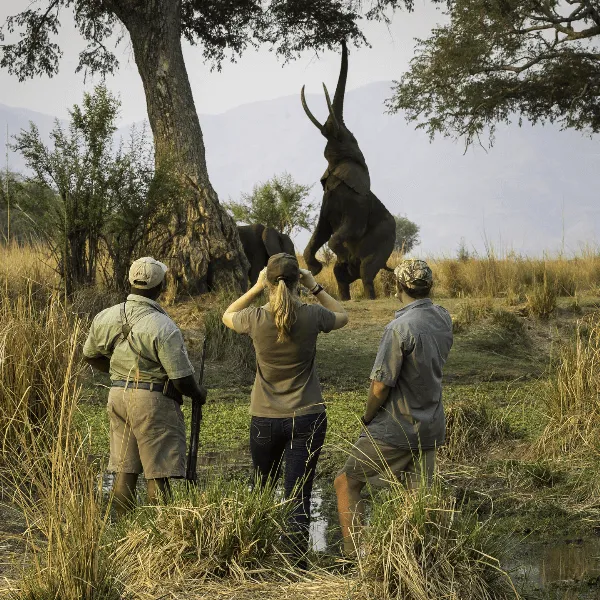Mana Pools Wilderness