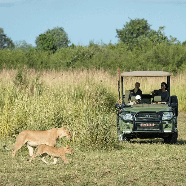 Mana Pools Wilderness