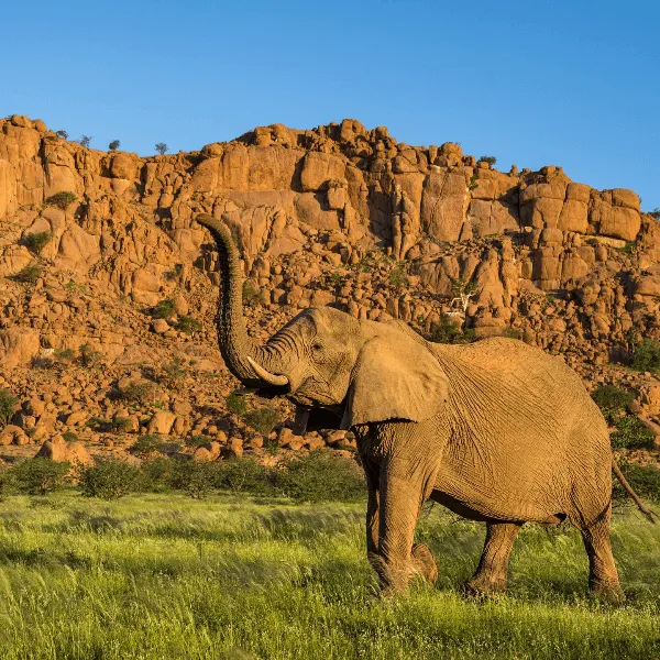 Mowani Mountain Damaraland