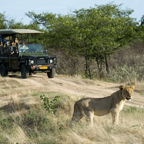 Little Ongava Etosha