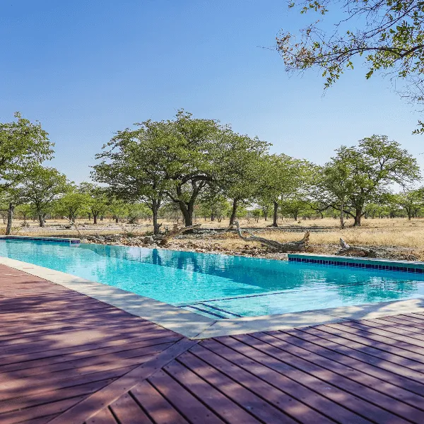 Etosha Oberland Etosha