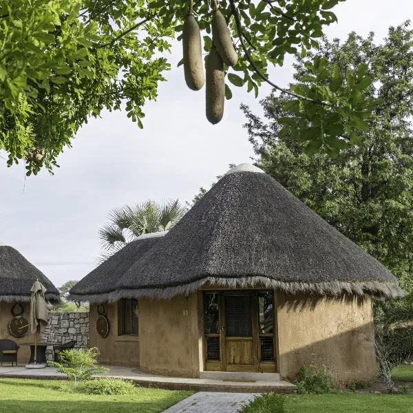 Onguma Bush Camp Etosha