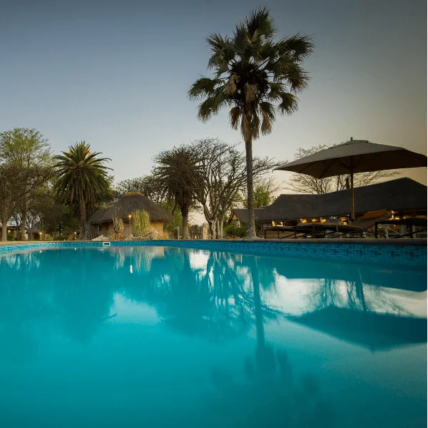Onguma Bush Camp Etosha