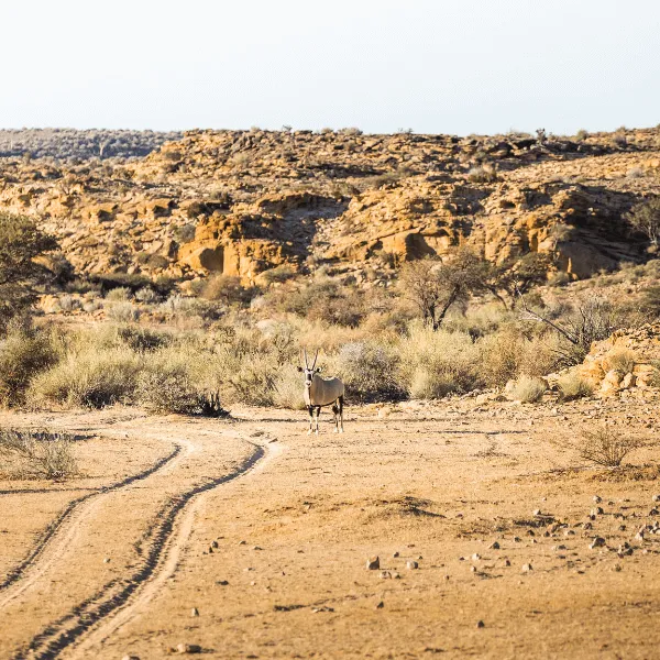 Fish River Canyon Gondwana