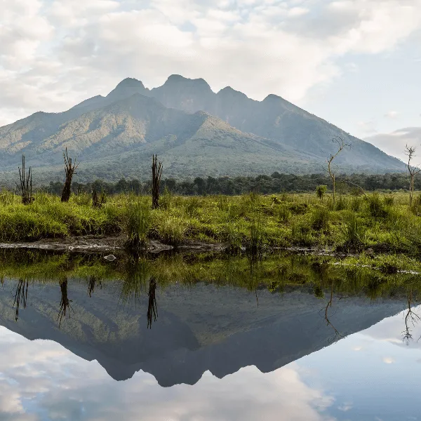 Singita Volcanoes Rwanda