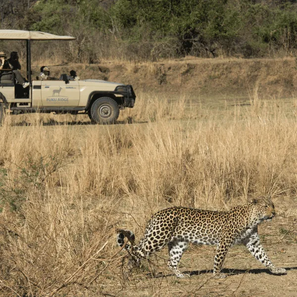 Puku Ridge Lower Zambezi
