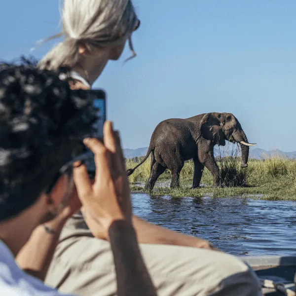 Anabezi Lower Zambezi Zambia