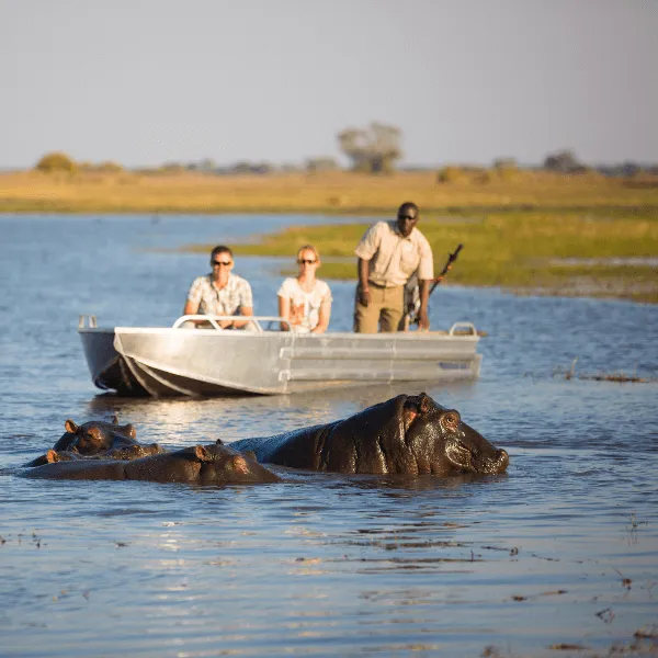 Wilderness Kafue