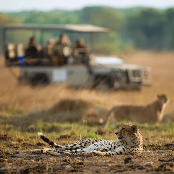 Wilderness Kafue
