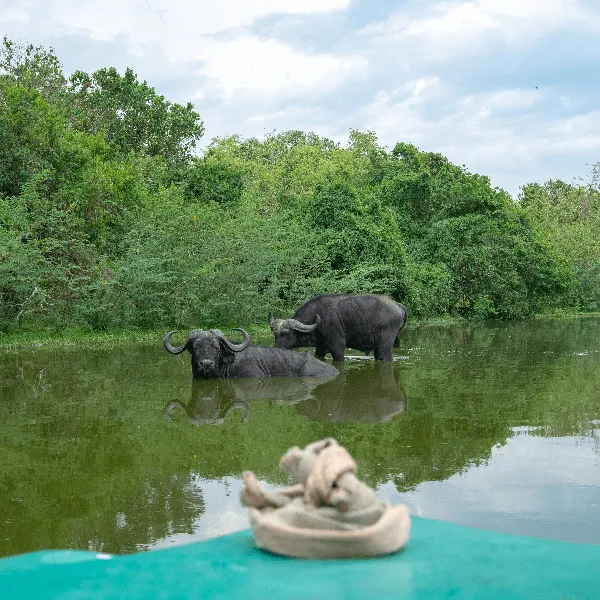 Lake Mburo UWA