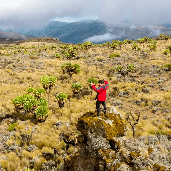 UWA Mount Elgon