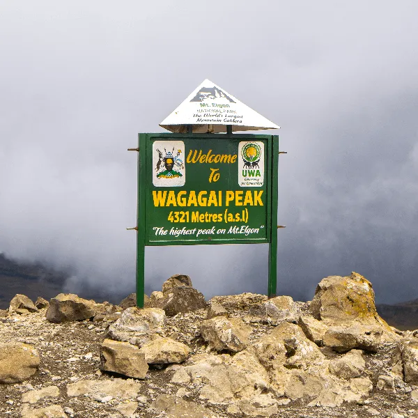 UWA Mount Elgon