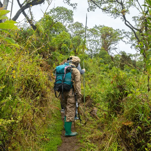 UWA Mount Elgon