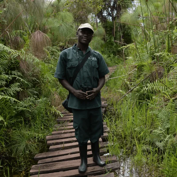 Bigodi Swamps