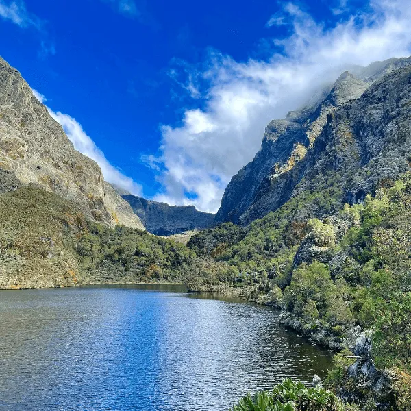 Rwenzori trekking Services