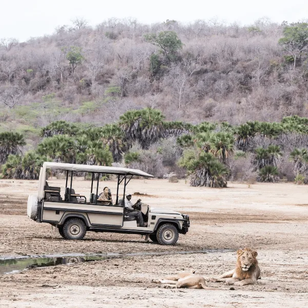 Sand River Selous