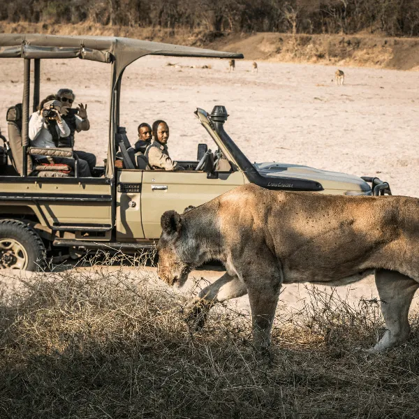Kigelia Ruaha