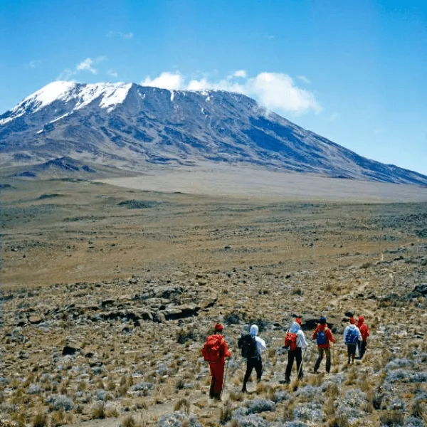 Kilimanjaro