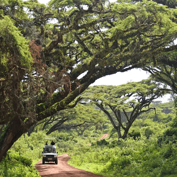 The Highlands Ngorongoro Crater