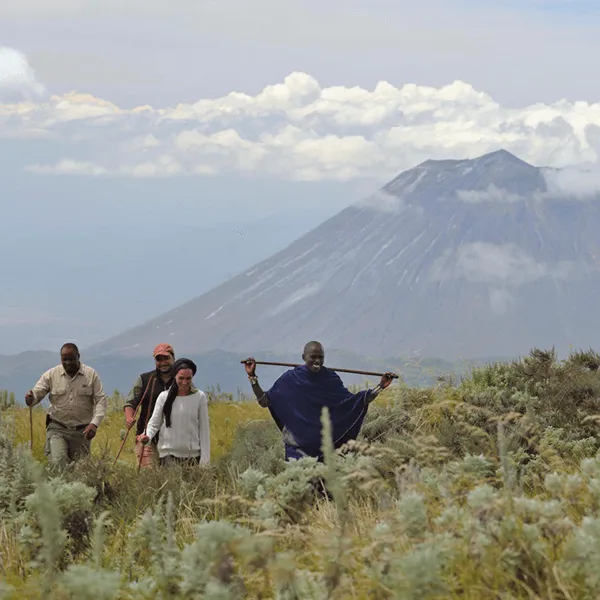 The Highlands Ngorongoro Crater